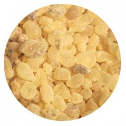 Wierook Olibanum uit Soedan premium A - 1 kg 