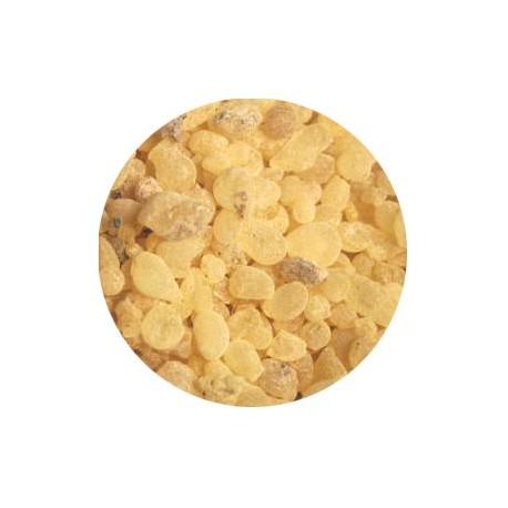 Encens Oliban - Larmes de Soudan - 1 kg