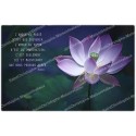 decorative sticker  for  novena candle With citation in French - lotus flower