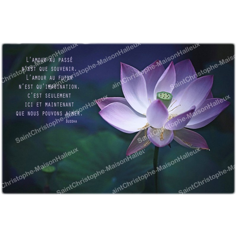 Autocollant Decoratif Pour Bougie De Neuvaine Avec Citation En Francais Fleur De Lotus Maison Halleux Sprl Pour Revendeurs