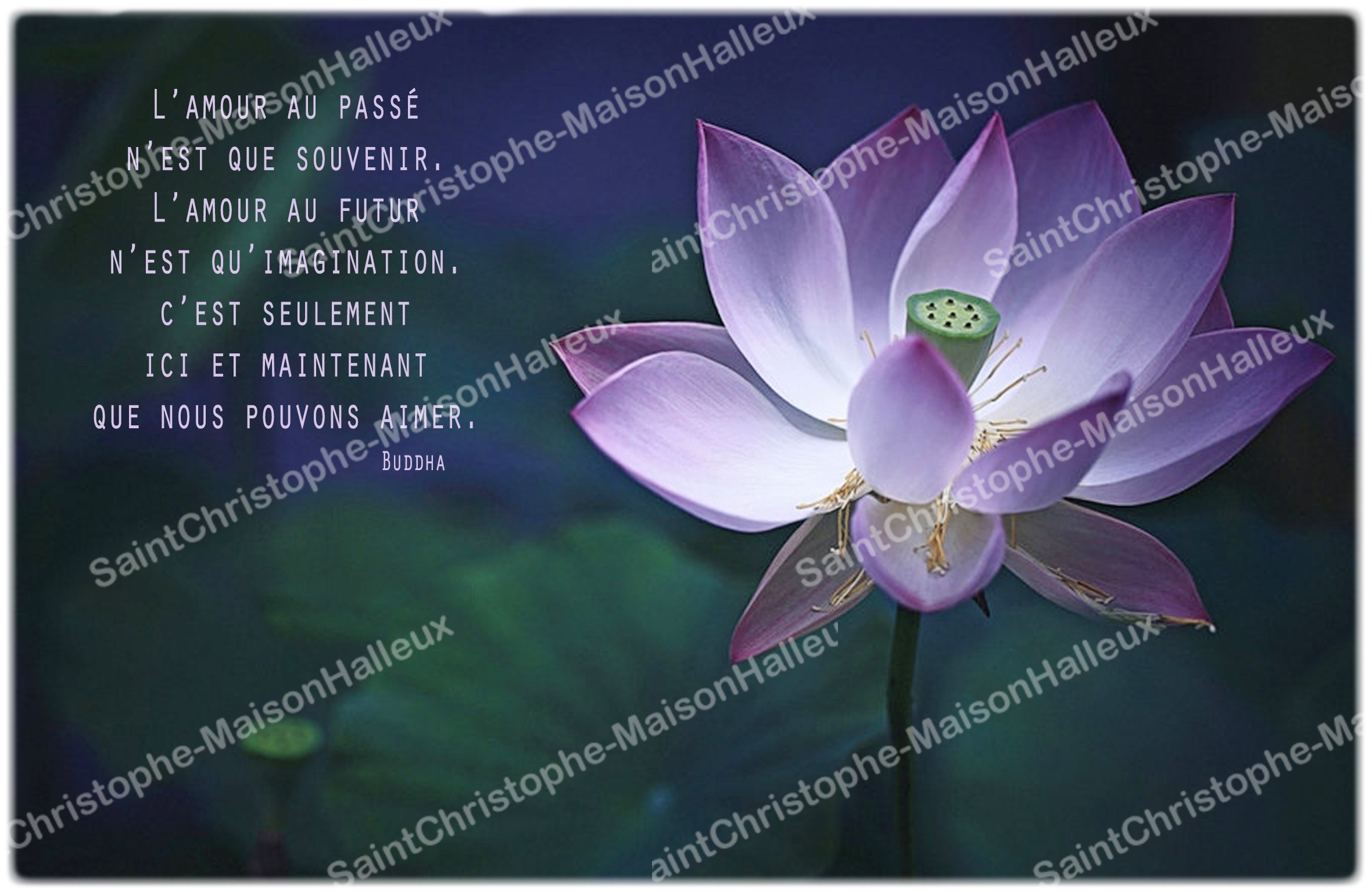 Decorative Sticker For Novena Candle With Citation In French Lotus Flower Maison Halleux Sprl Pour Revendeurs